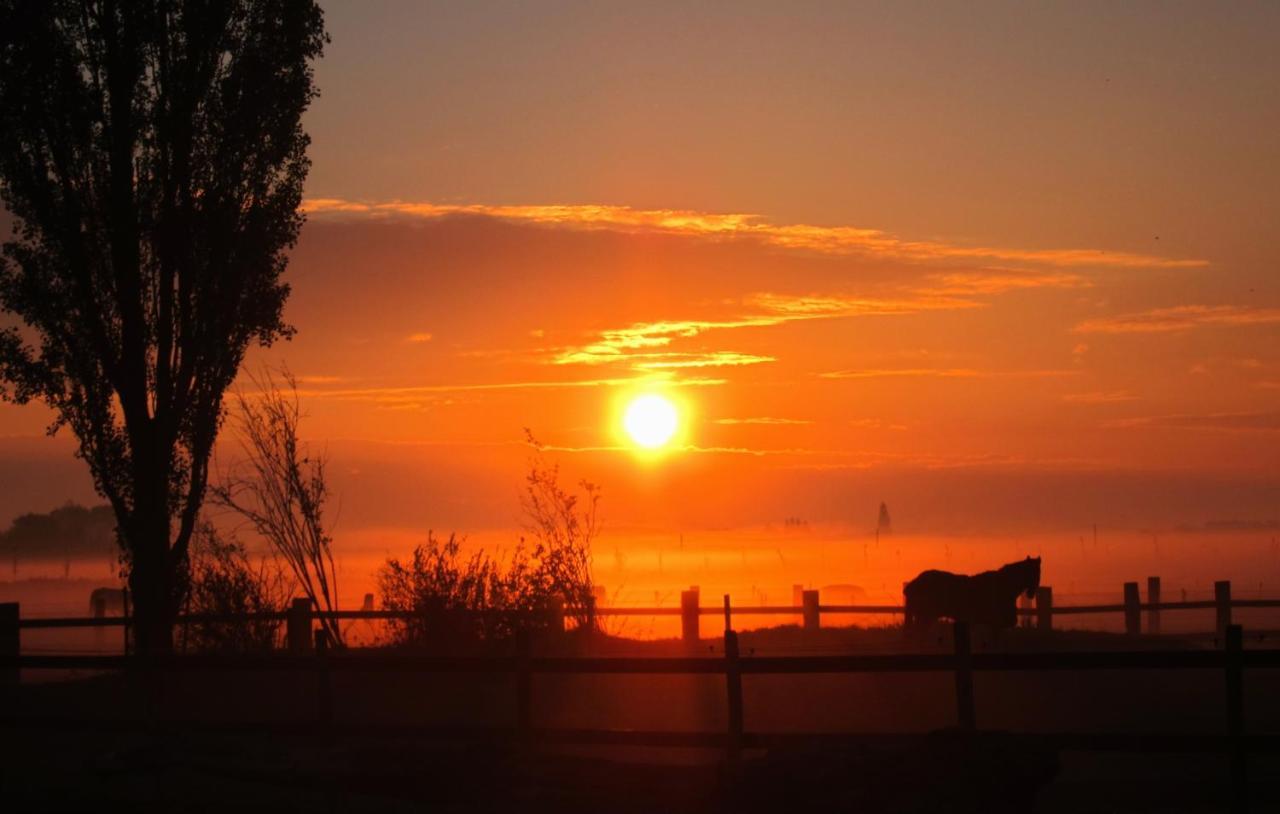 Gastenverblijf ‘t Landsheertje Veurne Buitenkant foto